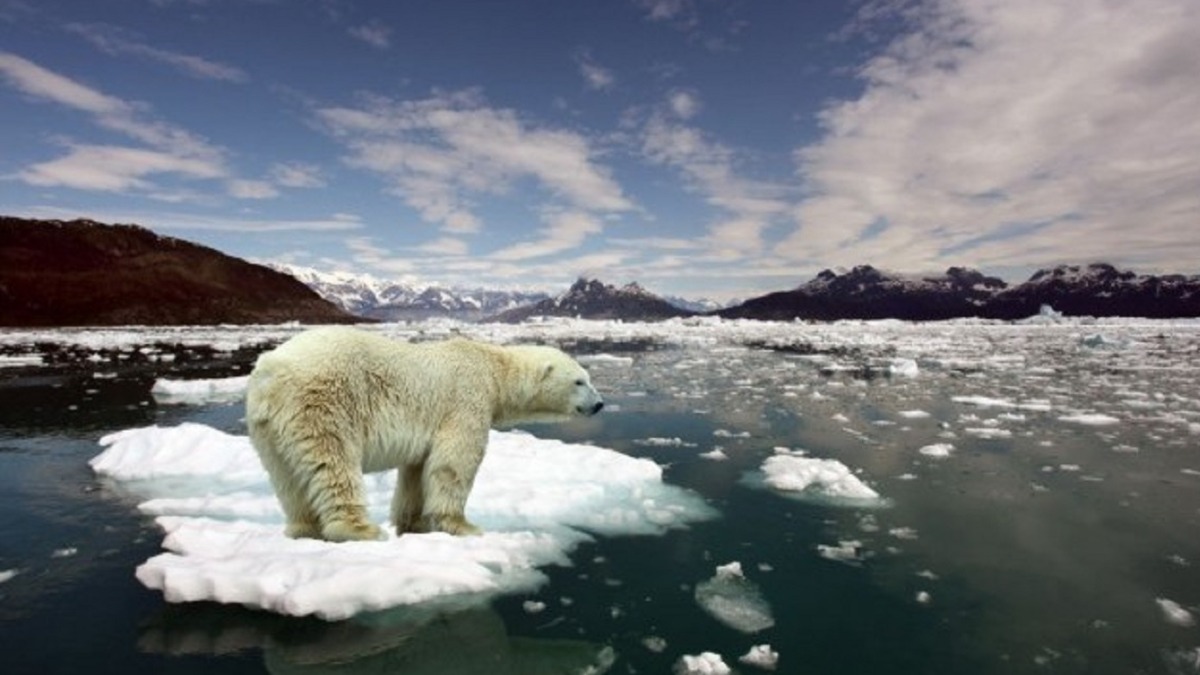 Eco-activism in Ukraine according to the head of the Ukrainian Climate Network Ilya Yeremenko